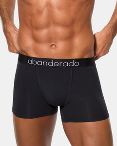 Bamboo Closed Boxer Brief Pack of 2- ASA0C7M